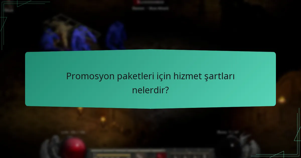 Promosyon paketleri için hizmet şartları nelerdir?